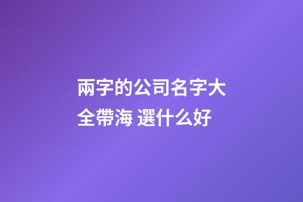 兩字的公司名字大全帶海 選什么好-第1張-公司起名-玄機派